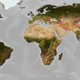 Image for article titled The Business of Predicting the End of the World